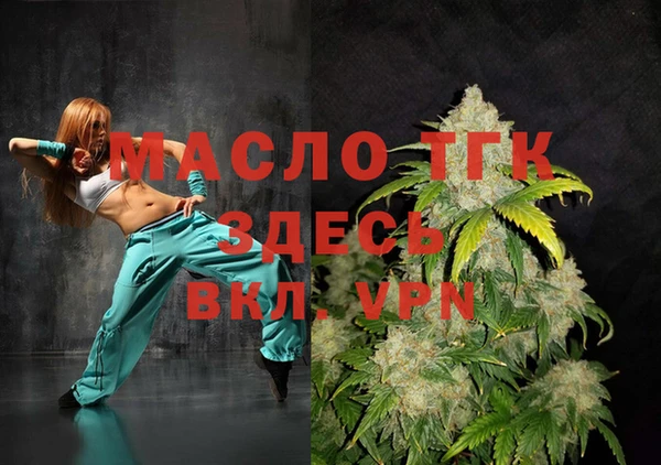 тгк Инсар