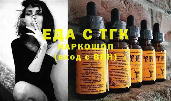 тгк Инсар