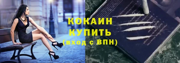 тгк Инсар