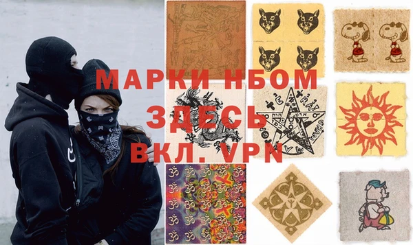 тгк Инсар