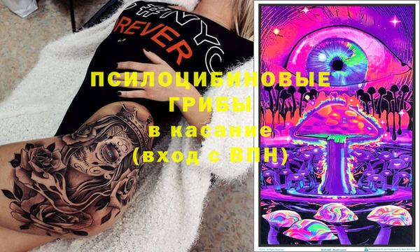 тгк Инсар