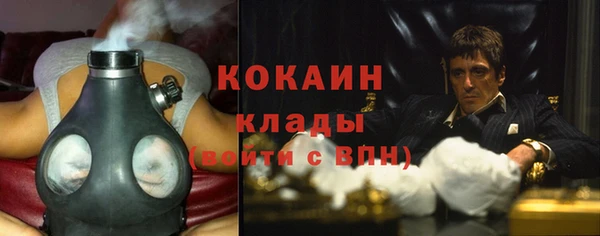 тгк Инсар