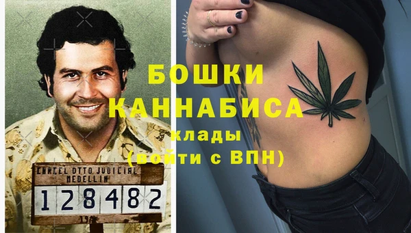 тгк Инсар