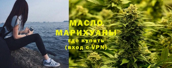 тгк Инсар