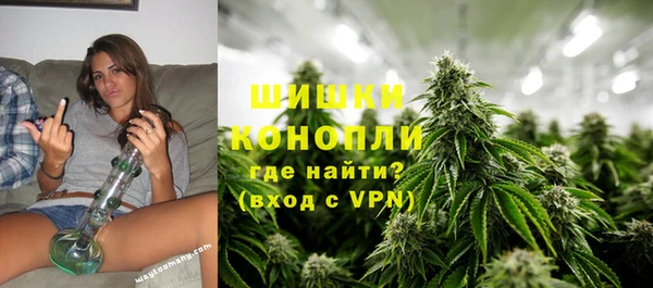 спайс Инта