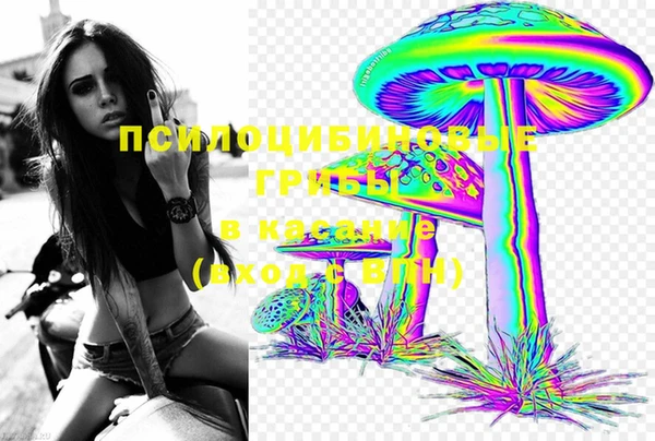 тгк Инсар