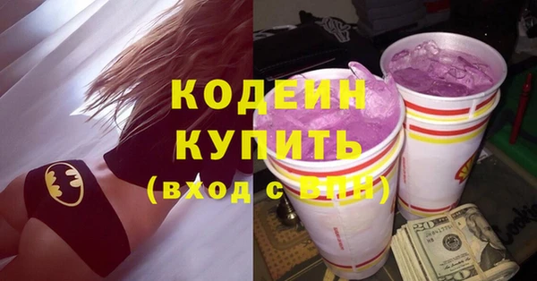 тгк Инсар
