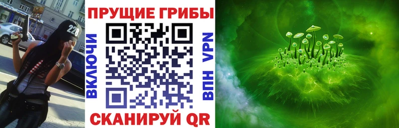 Галлюциногенные грибы Psilocybe  Купить закладки  Добрянка 