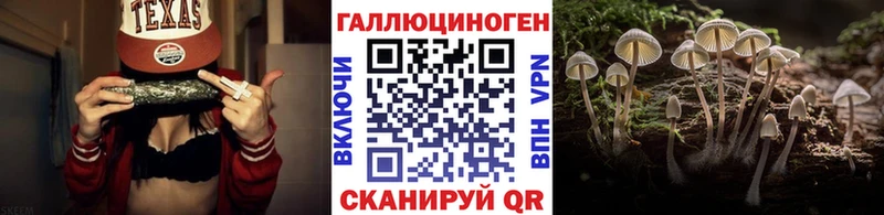 Псилоцибиновые грибы Cubensis Добрянка